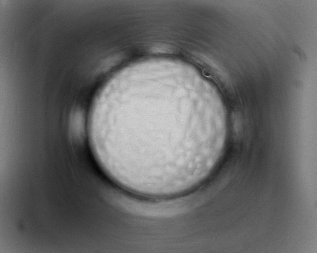 X0000116840028200912312103