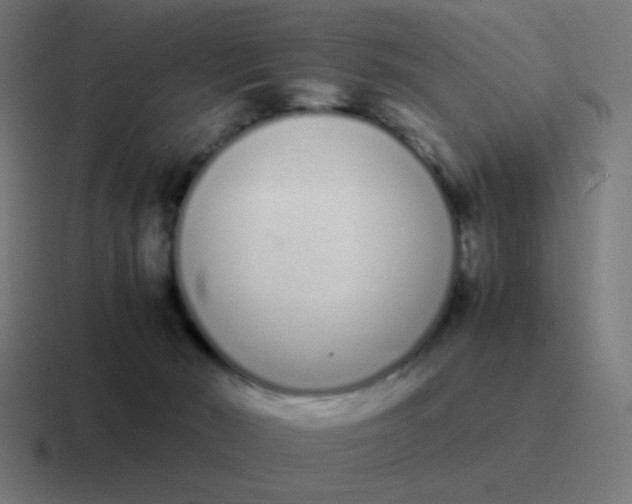 X0000116840030200912312103