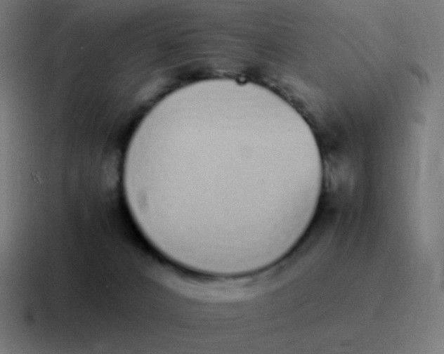 X0000116840032200912312103