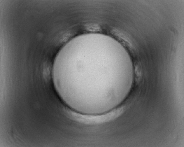 X0000116840034200912312103