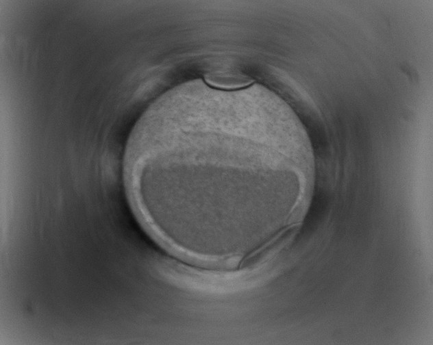 X0000116840035200912312103