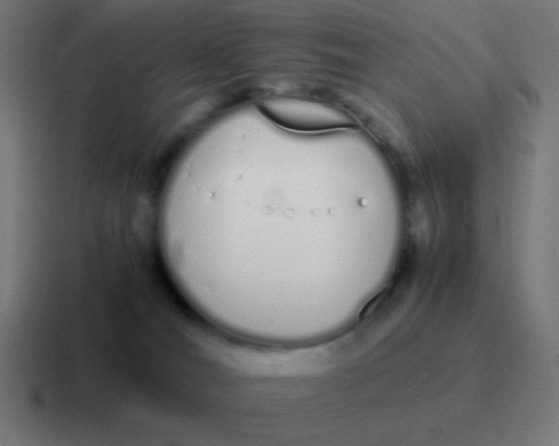 X0000116840036200912312103