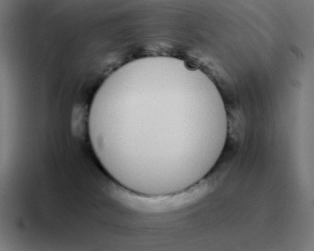 X0000116840038200912312103