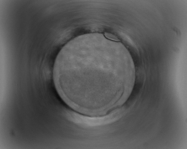 X0000116840039200912312103