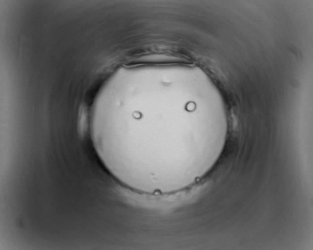 X0000116840042200912312103