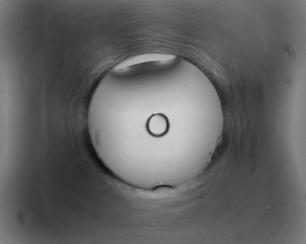 X0000116840043200912312103