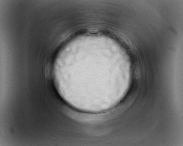 X0000116840044200912312103