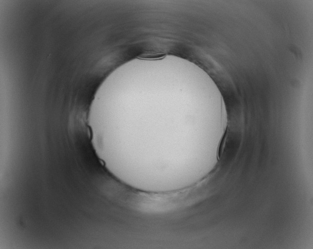 X0000116840045200912312103