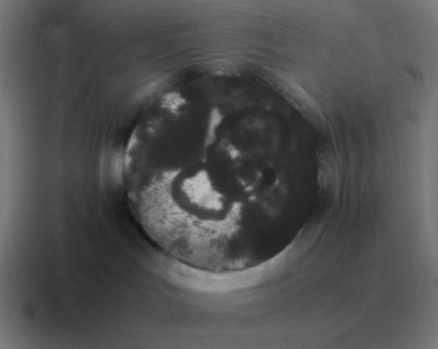 X0000116840047200912312103