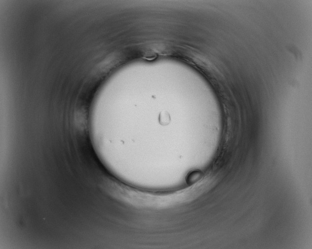 X0000116840048200912312103