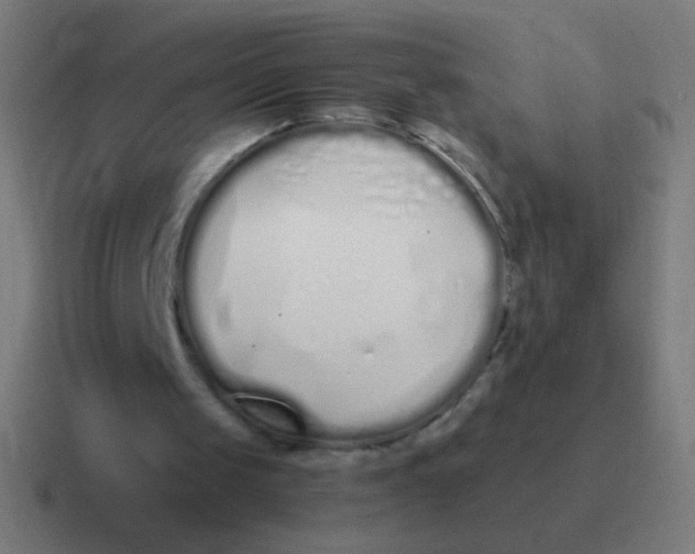 X0000116840049200912312102