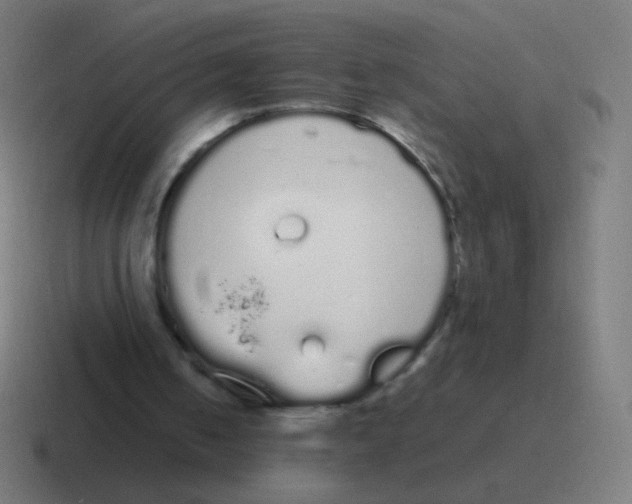 X0000116840050200912312102