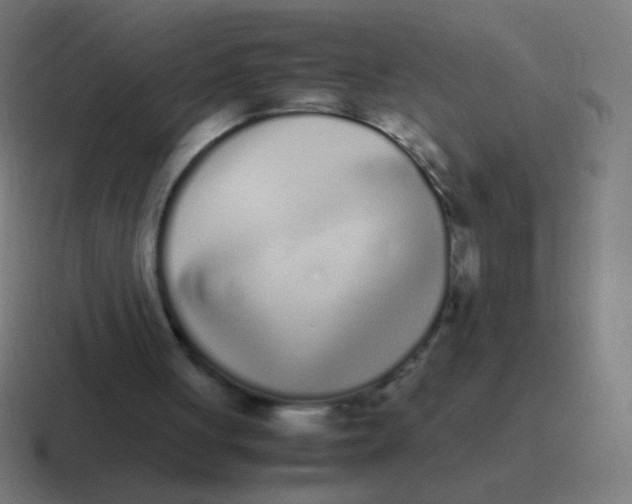 X0000116840051200912312102