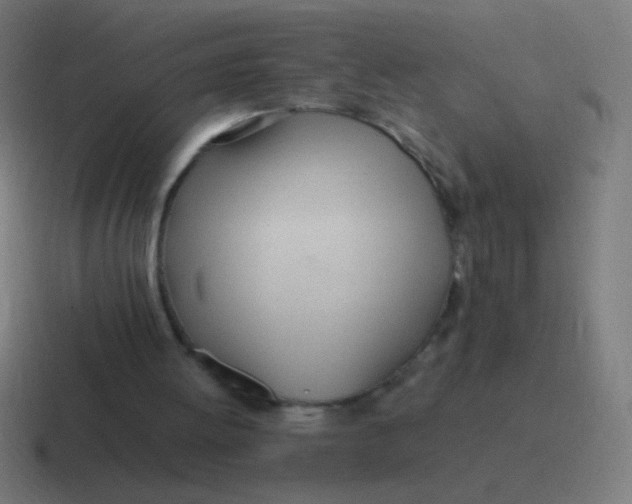 X0000116840052200912312102