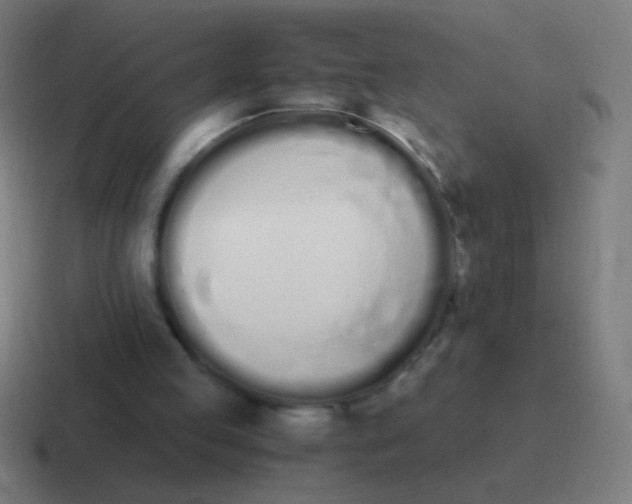 X0000116840053200912312102