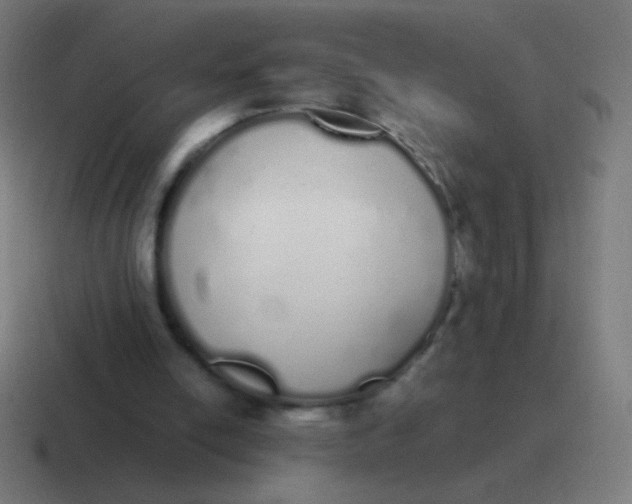 X0000116840054200912312102