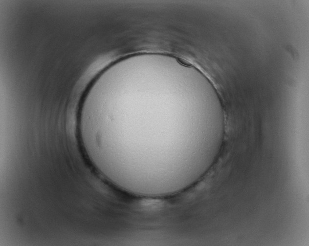 X0000116840055200912312102