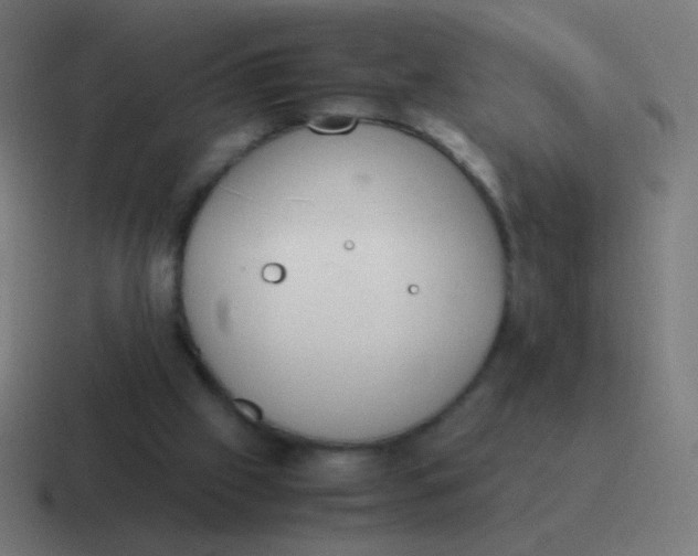 X0000116840057200912312103