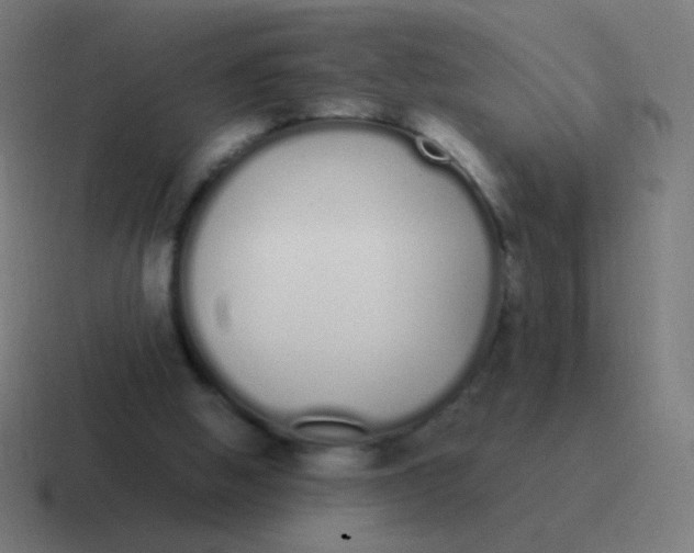 X0000116840058200912312103