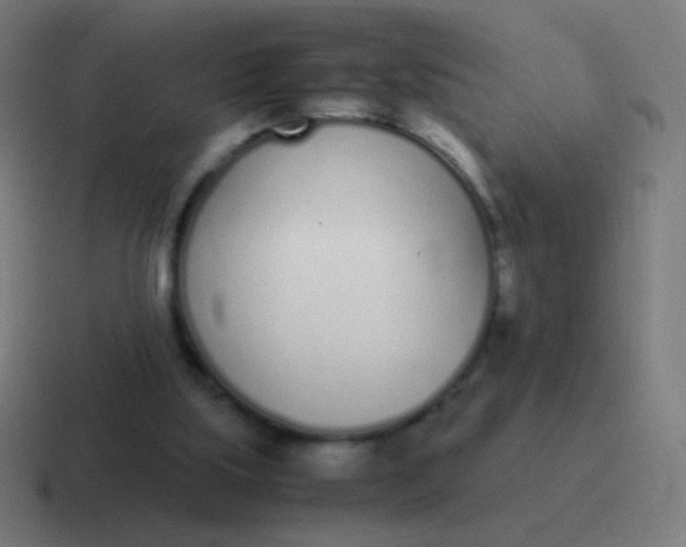 X0000116840059200912312103