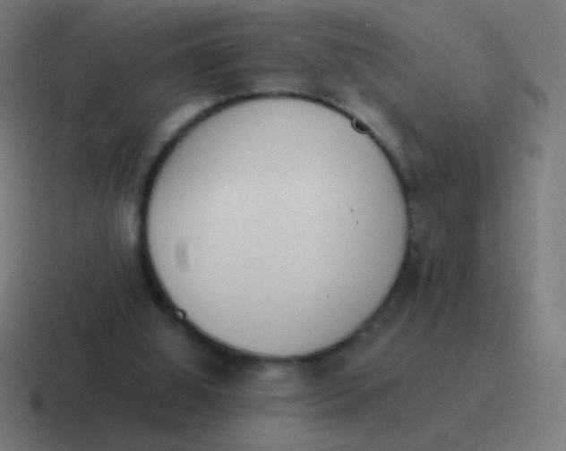 X0000116840060200912312103