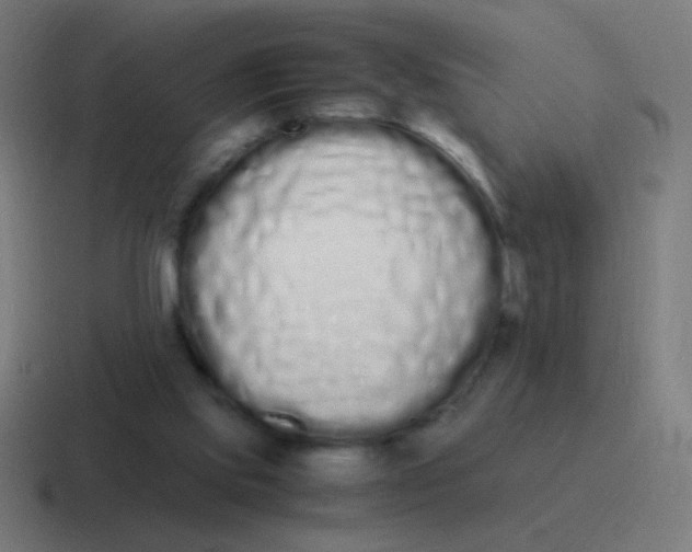 X0000116840061200912312103