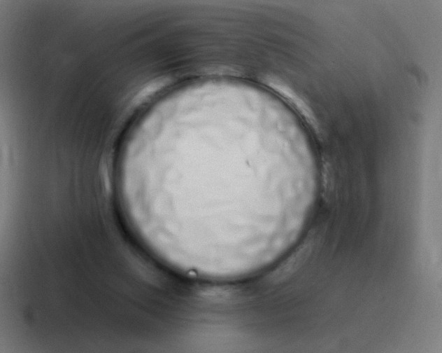 X0000116840062200912312103