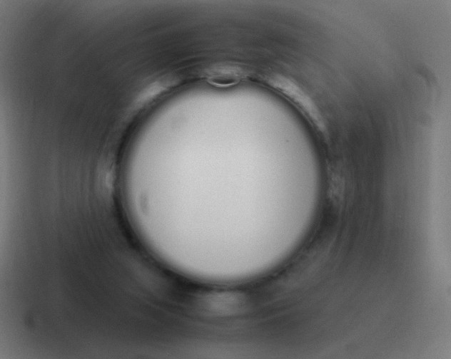 X0000116840063200912312103