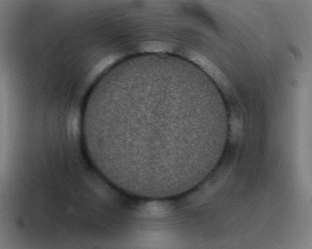 X0000116840064200912312103