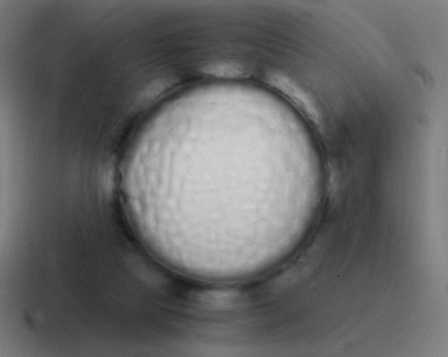 X0000116840065200912312103