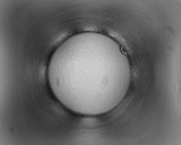 X0000116840066200912312103