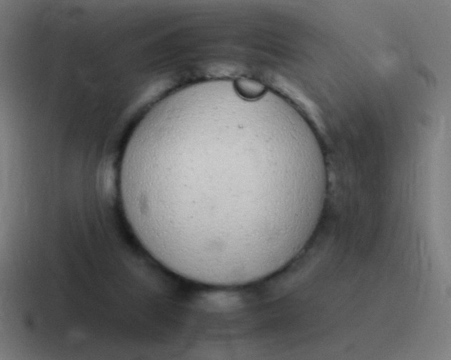 X0000116840067200912312103