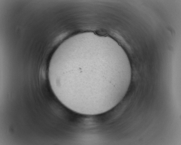 X0000116840068200912312103