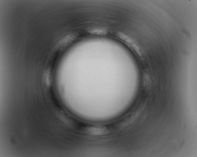 X0000116840069200912312103