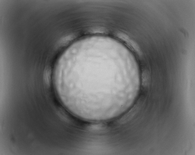 X0000116840070200912312103