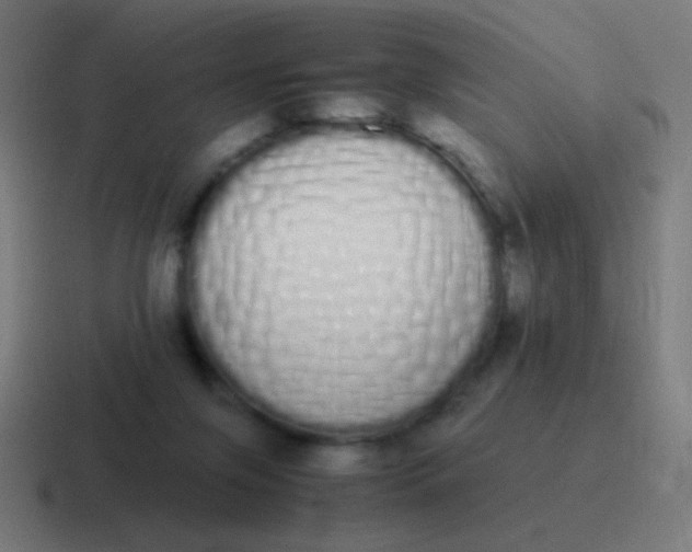 X0000116840071200912312103