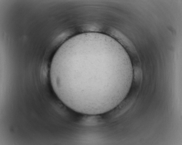 X0000116840072200912312103