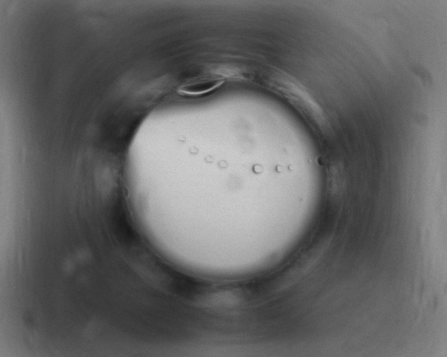 X0000116840073200912312103