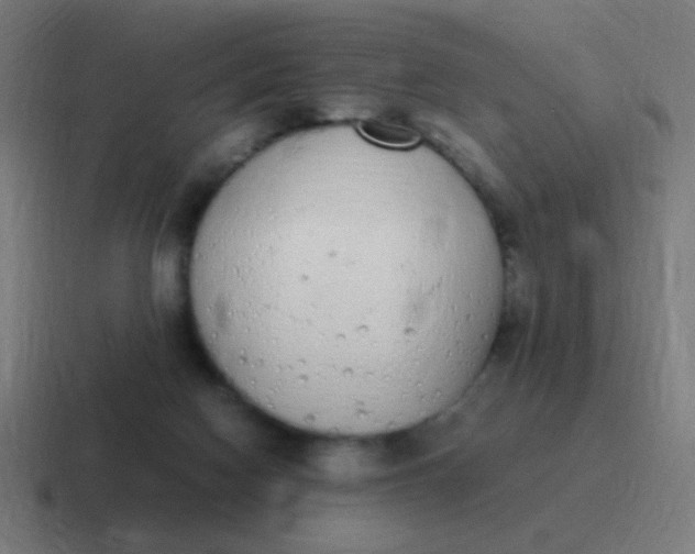 X0000116840074200912312103