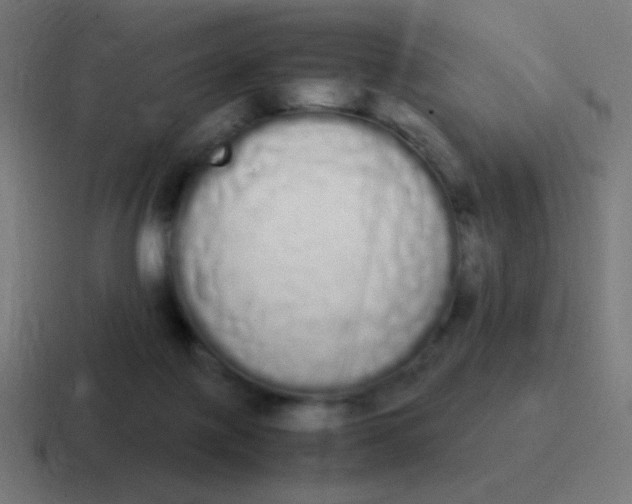 X0000116840075200912312103