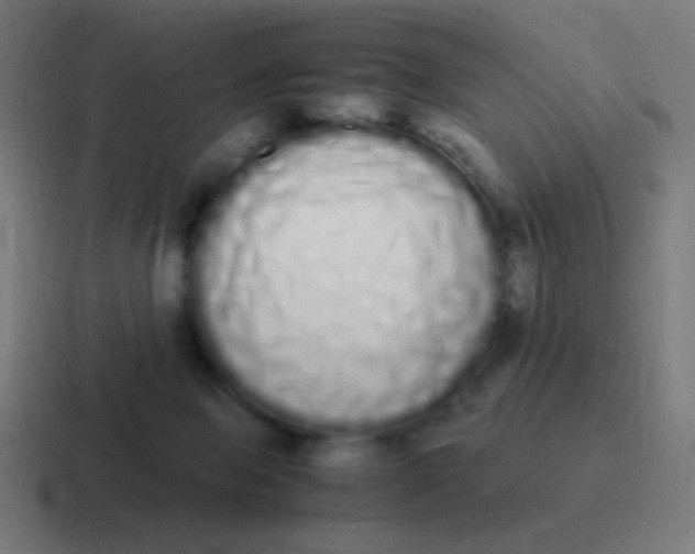 X0000116840077200912312103