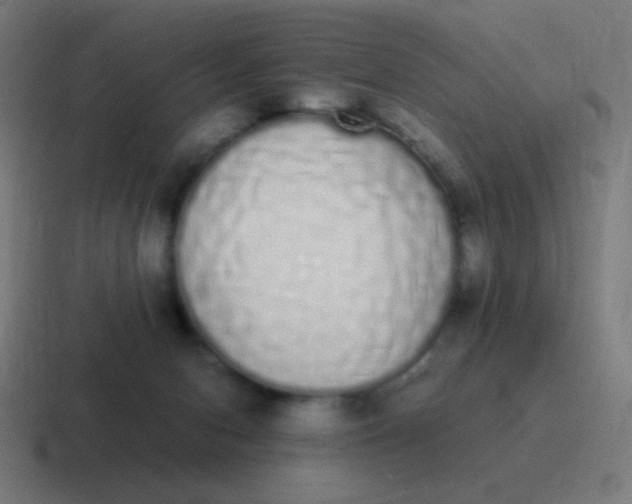 X0000116840078200912312103