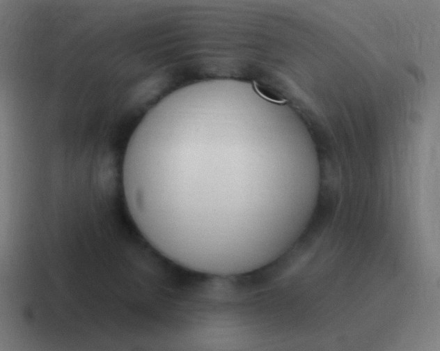 X0000116840080200912312103