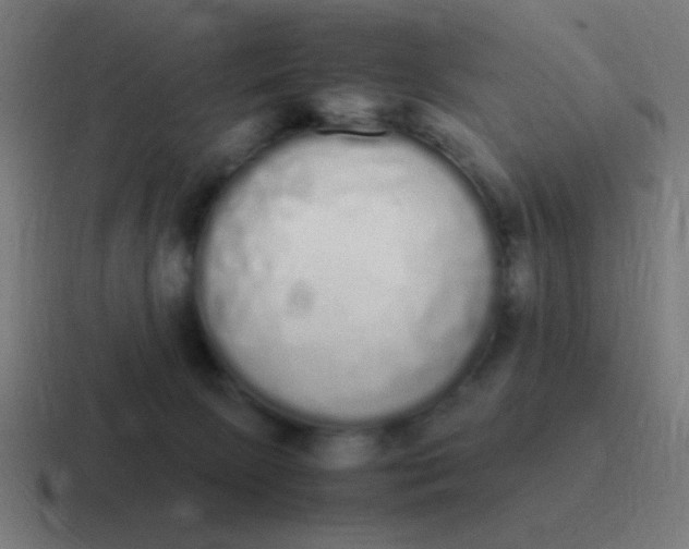 X0000116840081200912312103