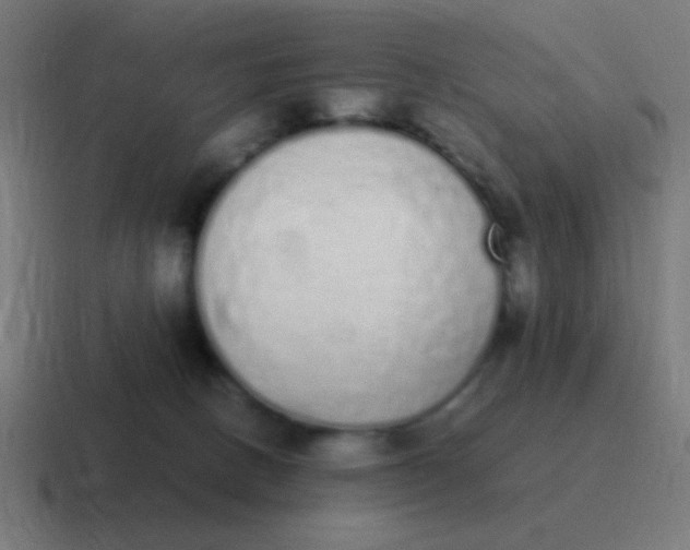 X0000116840082200912312103