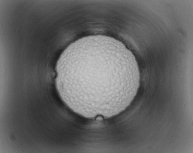 X0000116840083200912312103