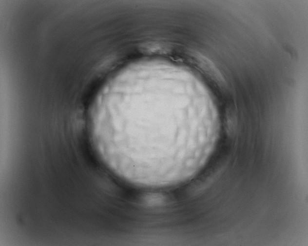 X0000116840085200912312103