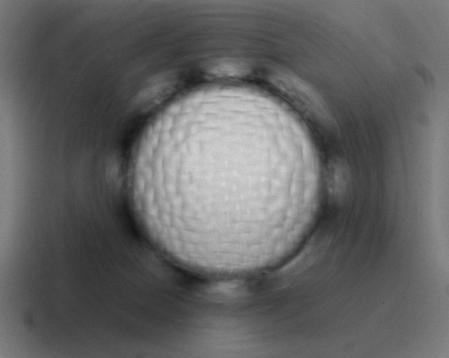 X0000116840086200912312103