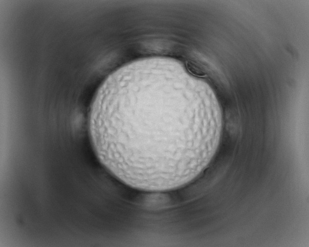 X0000116840087200912312103