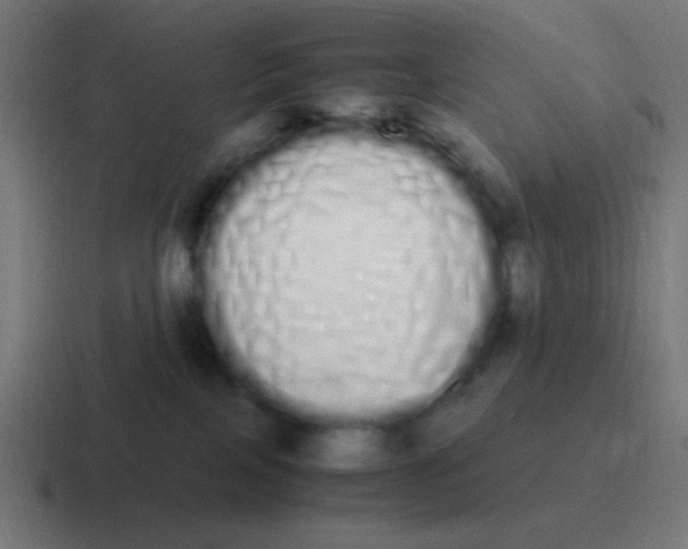 X0000116840089200912312103